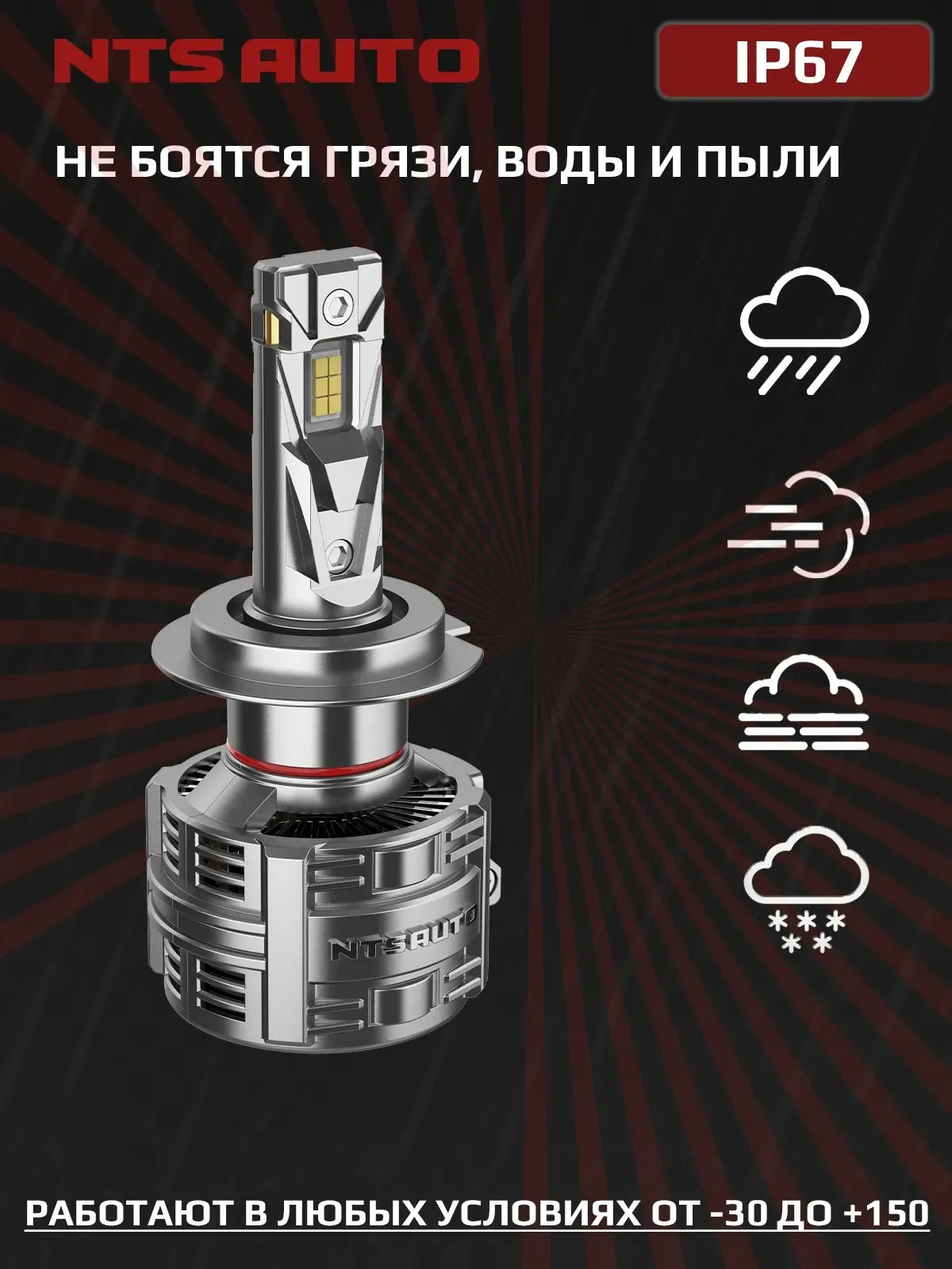 Светодиодные лампы T75 H7